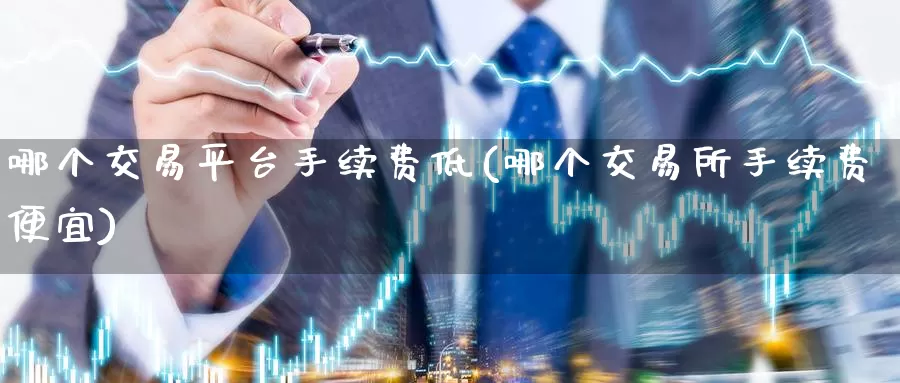 哪个交易平台手续费低(哪个交易所手续费便宜)_https://www.zzcnk.com_内盘期货_第1张