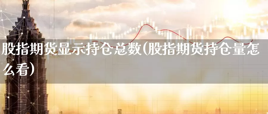 股指期货显示持仓总数(股指期货持仓量怎么看)_https://www.zzcnk.com_股指期货_第1张