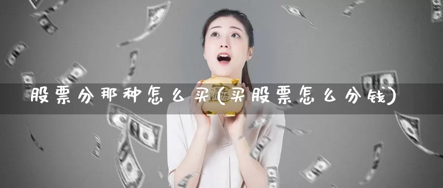 股票分那种怎么买(买股票怎么分钱)_https://www.zzcnk.com_股票_第1张