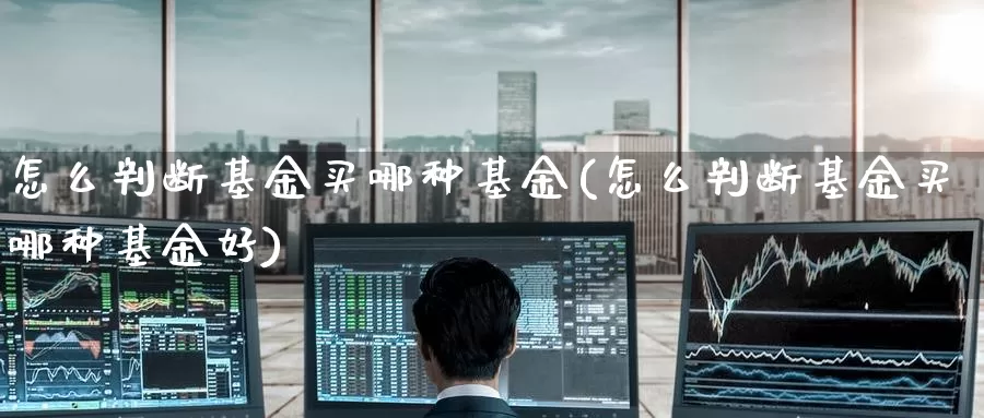 怎么判断基金买哪种基金(怎么判断基金买哪种基金好)_https://www.zzcnk.com_基金_第1张