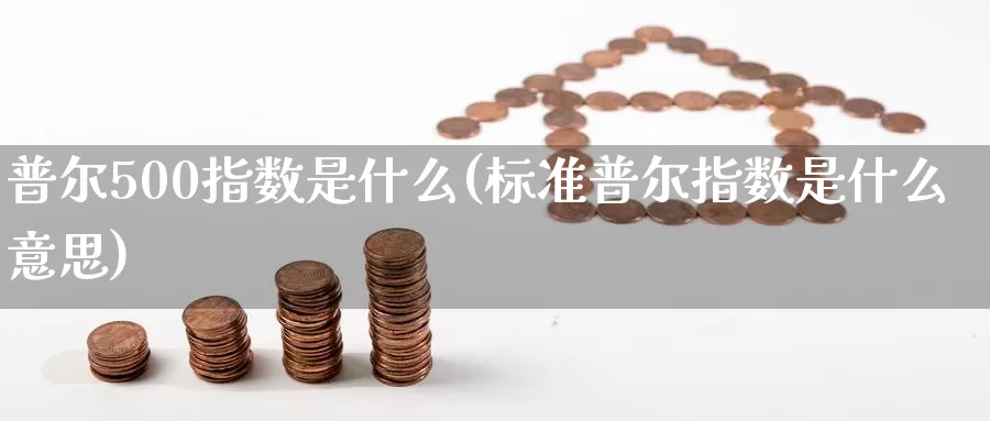 普尔500指数是什么(标准普尔指数是什么意思)_https://www.zzcnk.com_期货百科_第1张