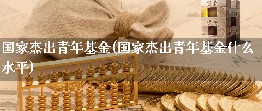 国家杰出青年基金(国家杰出青年基金什么水平)_https://www.zzcnk.com_期货_第1张
