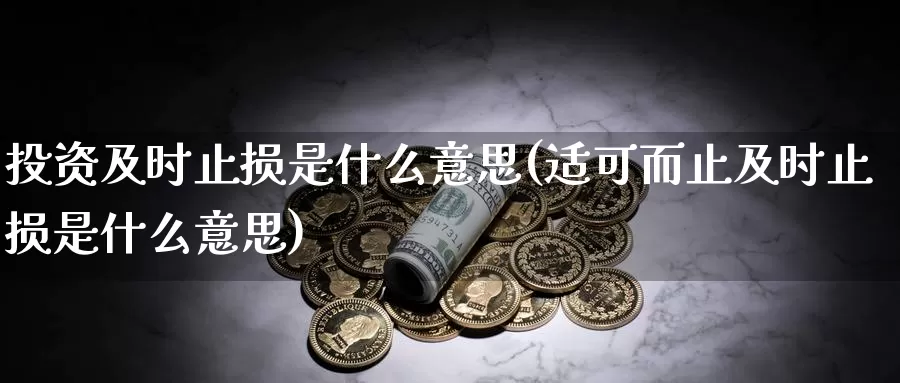 投资及时止损是什么意思(适可而止及时止损是什么意思)_https://www.zzcnk.com_股指期货_第1张