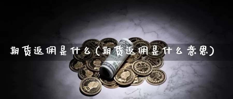 期货返佣是什么(期货返佣是什么意思)_https://www.zzcnk.com_期货_第1张