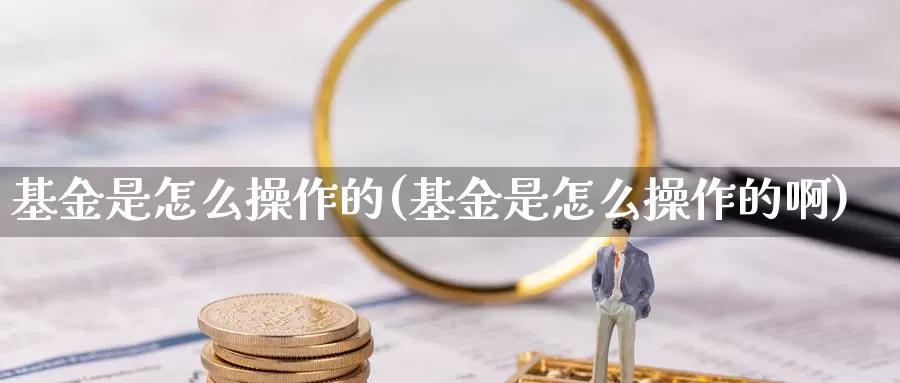 基金是怎么操作的(基金是怎么操作的啊)_https://www.zzcnk.com_股票_第1张