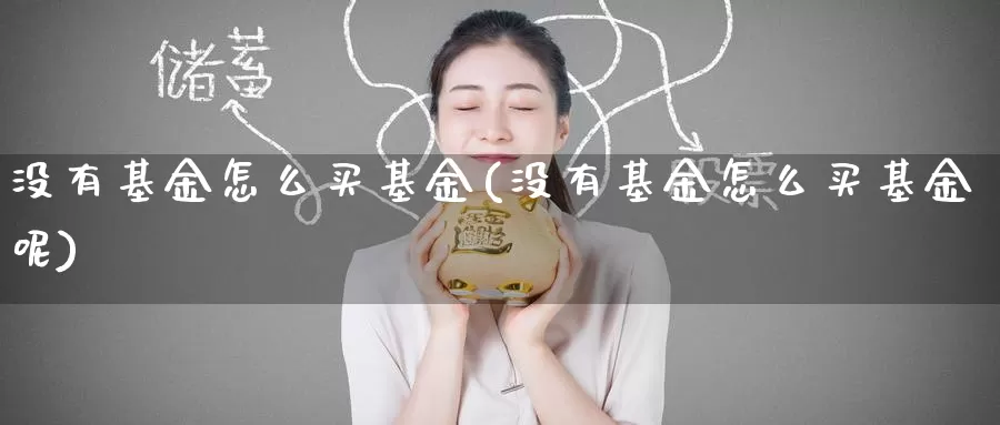 没有基金怎么买基金(没有基金怎么买基金呢)_https://www.zzcnk.com_基金_第1张