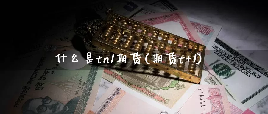 什么是tn1期货(期货t+1)_https://www.zzcnk.com_恒生指数_第1张