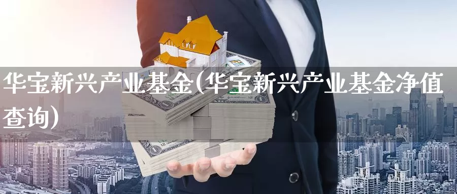 华宝新兴产业基金(华宝新兴产业基金净值查询)_https://www.zzcnk.com_期货_第1张