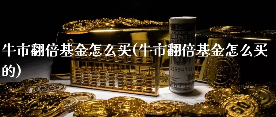 牛市翻倍基金怎么买(牛市翻倍基金怎么买的)_https://www.zzcnk.com_基金_第1张
