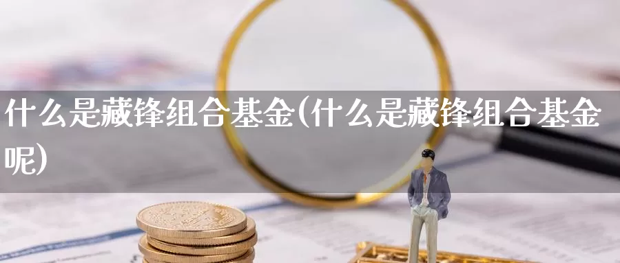什么是藏锋组合基金(什么是藏锋组合基金呢)_https://www.zzcnk.com_基金_第1张