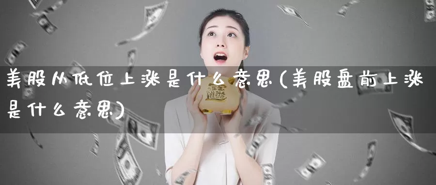 美股从低位上涨是什么意思(美股盘前上涨是什么意思)_https://www.zzcnk.com_财经_第1张