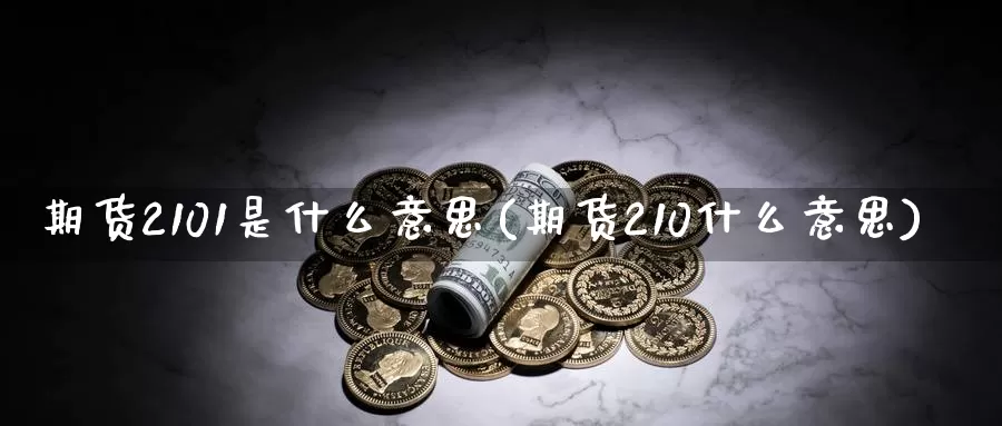 期货2101是什么意思(期货210什么意思)_https://www.zzcnk.com_恒生指数_第1张