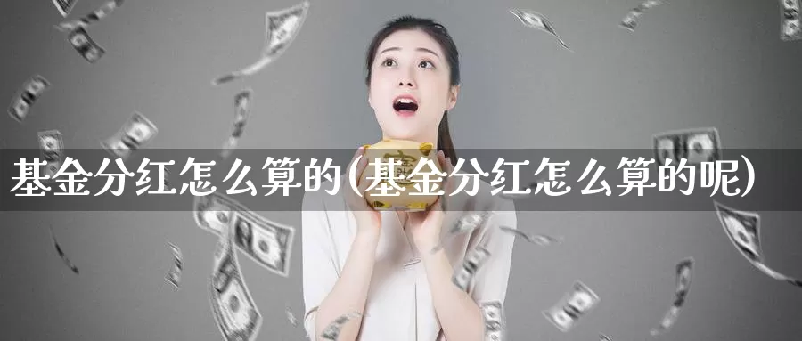 基金分红怎么算的(基金分红怎么算的呢)_https://www.zzcnk.com_理财_第1张