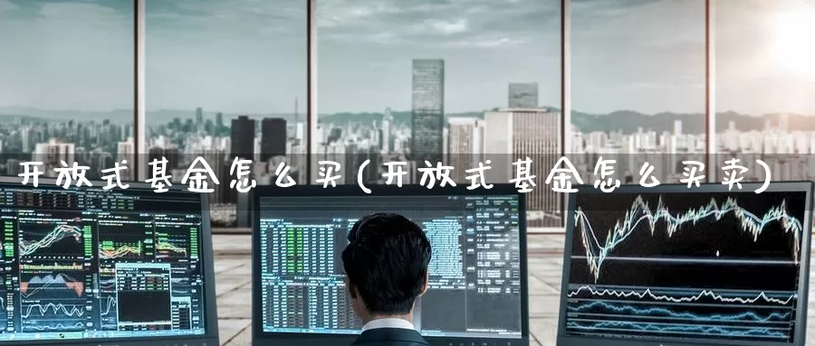**式基金怎么买(**式基金怎么买卖)_https://www.zzcnk.com_基金_第1张