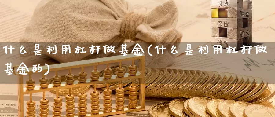什么是利用杠杆做基金(什么是利用杠杆做基金的)_https://www.zzcnk.com_基金_第1张