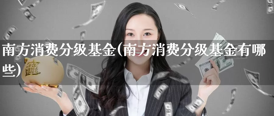 南方消费分级基金(南方消费分级基金有哪些)_https://www.zzcnk.com_财经_第1张