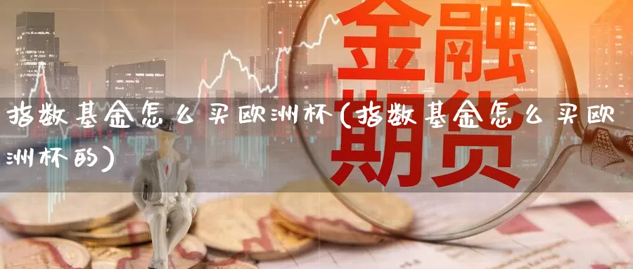 指数基金怎么买欧洲杯(指数基金怎么买欧洲杯的)_https://www.zzcnk.com_基金_第1张