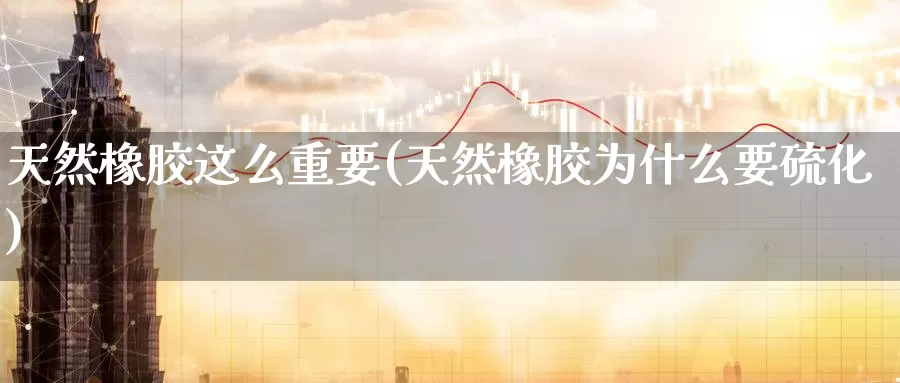 天然橡胶这么重要(天然橡胶为什么要硫化)_https://www.zzcnk.com_内盘期货_第1张