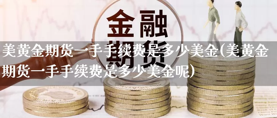美黄金期货一手手续费是多少美金(美黄金期货一手手续费是多少美金呢)_https://www.zzcnk.com_纳指期货_第1张