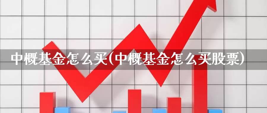 中概基金怎么买(中概基金怎么买股票)_https://www.zzcnk.com_基金_第1张