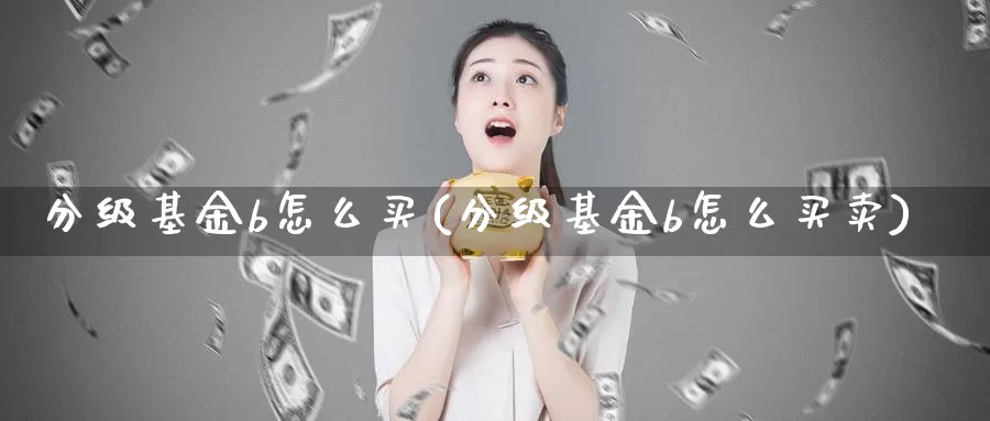 分级基金b怎么买(分级基金b怎么买卖)_https://www.zzcnk.com_基金_第1张