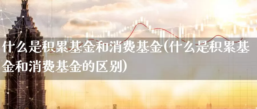 什么是积累基金和消费基金(什么是积累基金和消费基金的区别)_https://www.zzcnk.com_基金_第1张