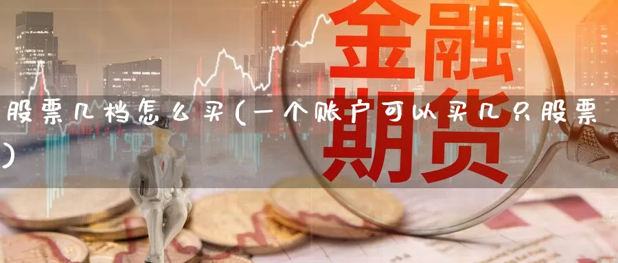 股票几档怎么买(一个账户可以买几只股票)_https://www.zzcnk.com_股票_第1张
