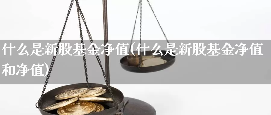 什么是新股基金净值(什么是新股基金净值和净值)_https://www.zzcnk.com_基金_第1张