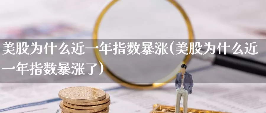 美股为什么近一年指数暴涨(美股为什么近一年指数暴涨了)_https://www.zzcnk.com_财经_第1张