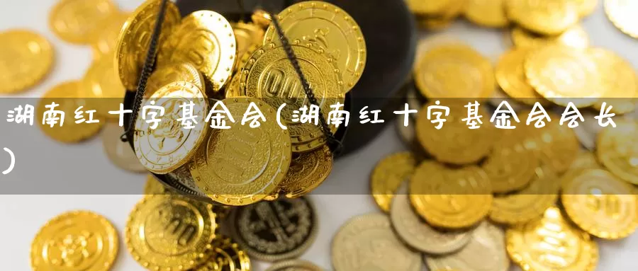 湖南红十字基金会(湖南红十字基金会会长)_https://www.zzcnk.com_期货_第1张