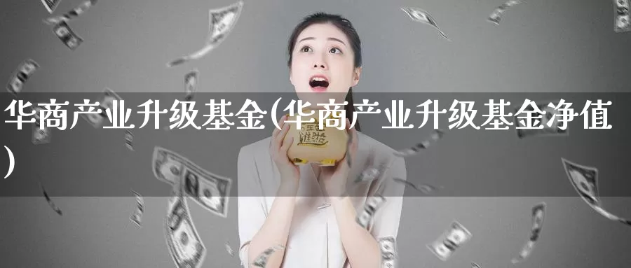华商产业升级基金(华商产业升级基金净值)_https://www.zzcnk.com_期货_第1张