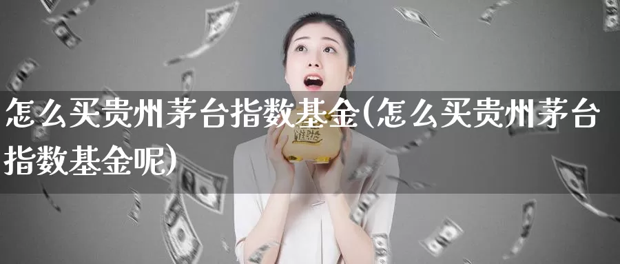 怎么买贵州茅台指数基金(怎么买贵州茅台指数基金呢)_https://www.zzcnk.com_基金_第1张