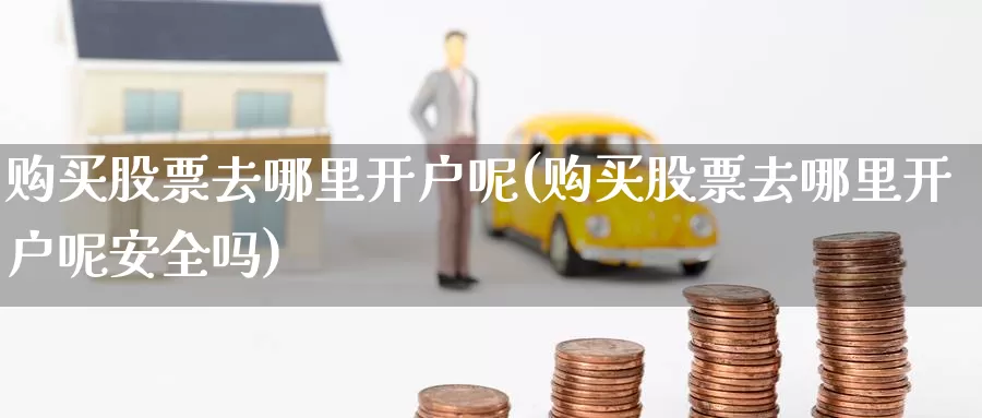 购买股票去哪里开户呢(购买股票去哪里开户呢安全吗)_https://www.zzcnk.com_股票_第1张