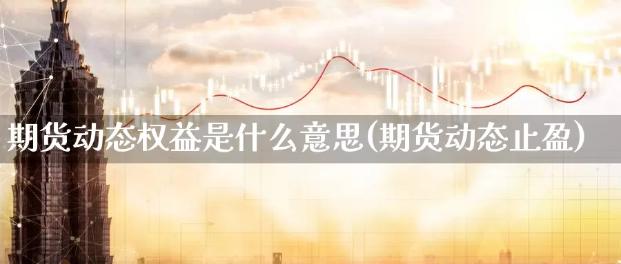 期货动态权益是什么意思(期货动态止盈)_https://www.zzcnk.com_期货_第1张