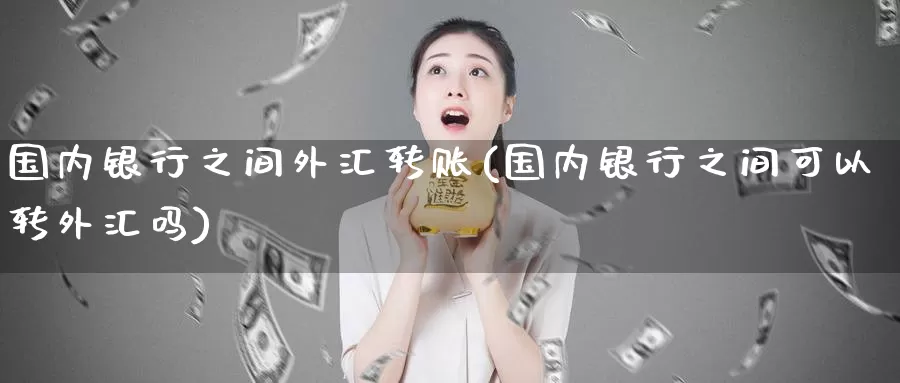 国内银行之间外汇转账(国内银行之间可以转外汇吗)_https://www.zzcnk.com_股指期货_第1张