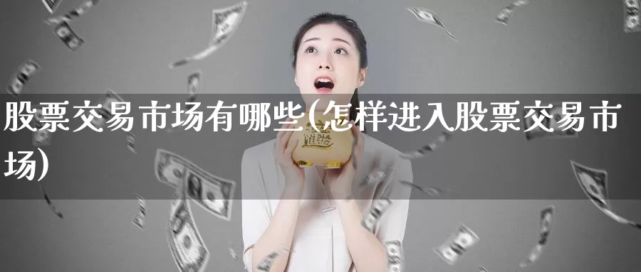 股票交易市场有哪些(怎样进入股票交易市场)_https://www.zzcnk.com_股指期货_第1张