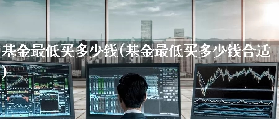 基金最低买多少钱(基金最低买多少钱合适)_https://www.zzcnk.com_股票_第1张