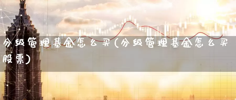 分级管理基金怎么买(分级管理基金怎么买股票)_https://www.zzcnk.com_基金_第1张