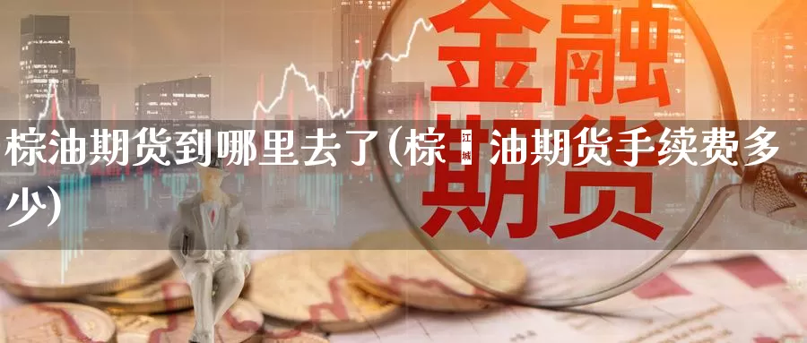 棕油期货到哪里去了(棕榈油期货手续费多少)_https://www.zzcnk.com_原油期货_第1张