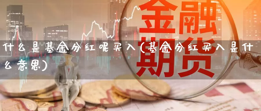 什么是基金分红呢买入(基金分红买入是什么意思)_https://www.zzcnk.com_基金_第1张