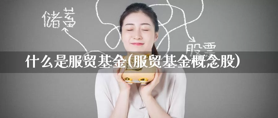 什么是服贸基金(服贸基金概念股)_https://www.zzcnk.com_基金_第1张