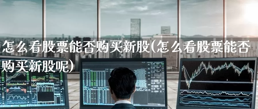 怎么看股票能否购买新股(怎么看股票能否购买新股呢)_https://www.zzcnk.com_股票_第1张