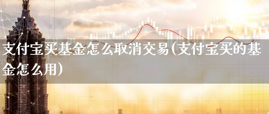 支付宝买基金怎么取消交易(支付宝买的基金怎么用)_https://www.zzcnk.com_基金_第1张