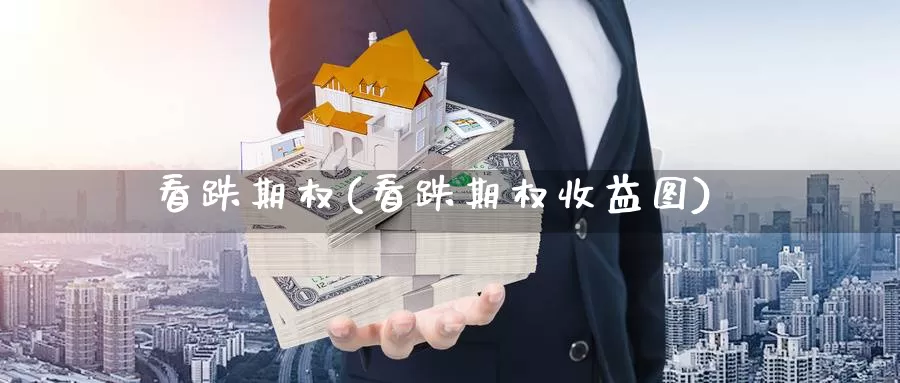看跌期权(看跌期权收益图)_https://www.zzcnk.com_原油期货_第1张