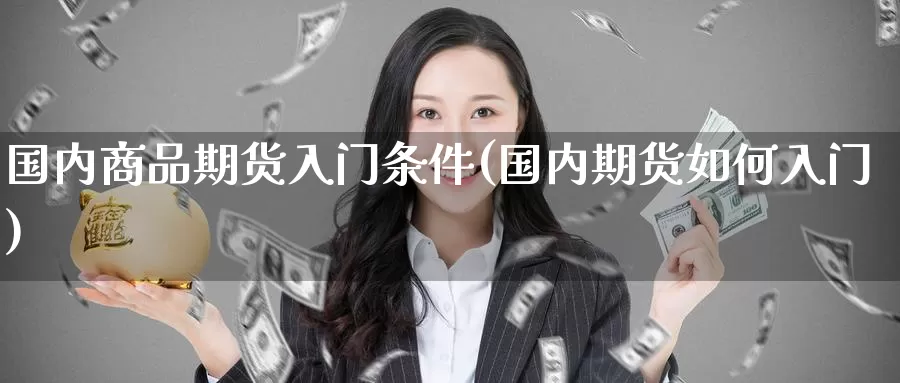 国内商品期货入门条件(国内期货如何入门)_https://www.zzcnk.com_原油期货_第1张