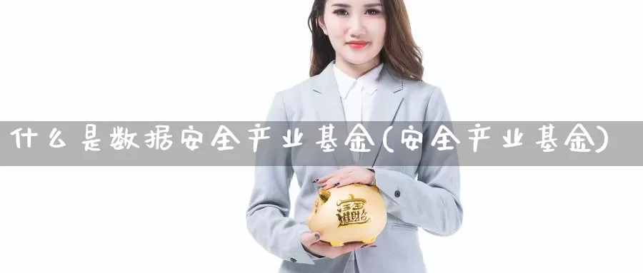 什么是数据安全产业基金(安全产业基金)_https://www.zzcnk.com_基金_第1张