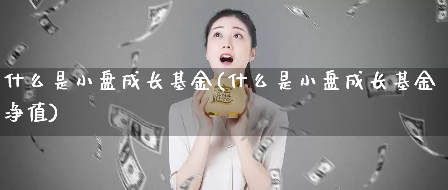 什么是小盘成长基金(什么是小盘成长基金净值)_https://www.zzcnk.com_基金_第1张