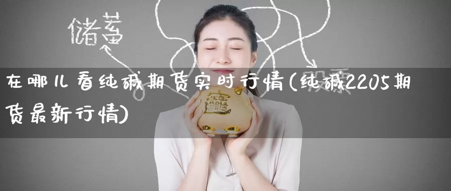 在哪儿看纯碱期货实时行情(纯碱2205期货最新行情)_期货直播_第1张_国际期货直播室 在哪儿看纯碱期货实时行情(纯碱2205期货最新行情)_https://www.zzcnk.com_期货直播_第1张