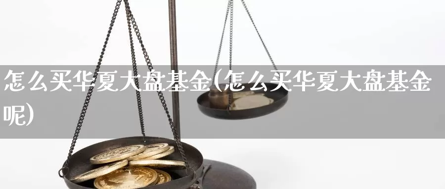 怎么买华夏大盘基金(怎么买华夏大盘基金呢)_https://www.zzcnk.com_基金_第1张
