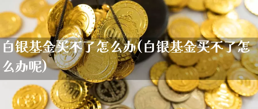 白银基金买不了怎么办(白银基金买不了怎么办呢)_https://www.zzcnk.com_基金_第1张